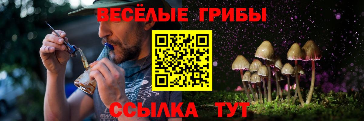 Псилоцибиновые грибы мицелий Морозовск